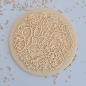 May include: A circular biscuit stamp with the words "Winter Wonderland" in a decorative font. The design features snowflakes, fir branches, and berries, evoking a winter theme. Ideal for creating festive biscuits for the holiday season.