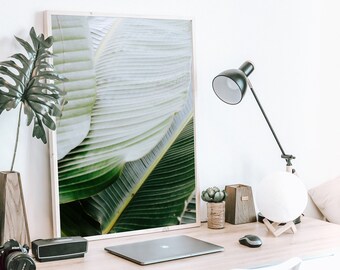 Downloadable Art Print - Tropical Botanical Photo