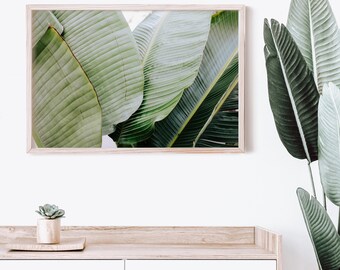 Downloadable Art Print - Tropical Botanical Photo