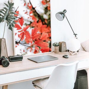 Downloadable Art Print - Bright Leaves Photo