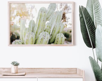 Downloadable Art Print - Cactus Succulent Photo