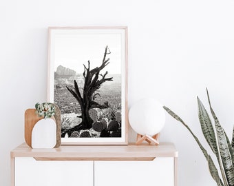 Downloadable Art Print - Desert Photo