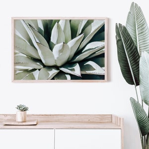 Downloadable Art Print - Succulent Photo