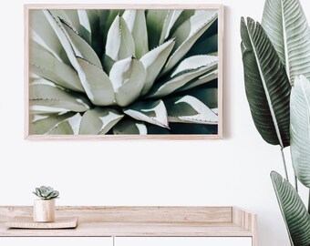 Downloadable Art Print - Succulent Photo