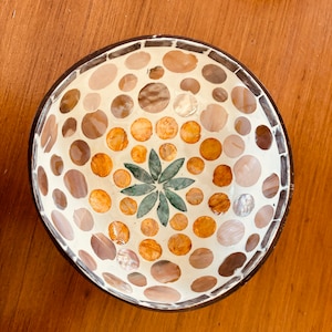 Coconut and mother-of-pearl bowl