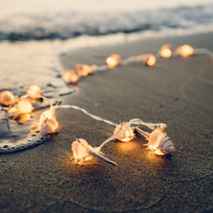May include: A strand of seashell lights glows on a sandy beach. The warm light from the shells contrasts with the wet sand and the sea. The lights are arranged in a line, creating a decorative feature. The scene evokes a sense of warmth and relaxation.