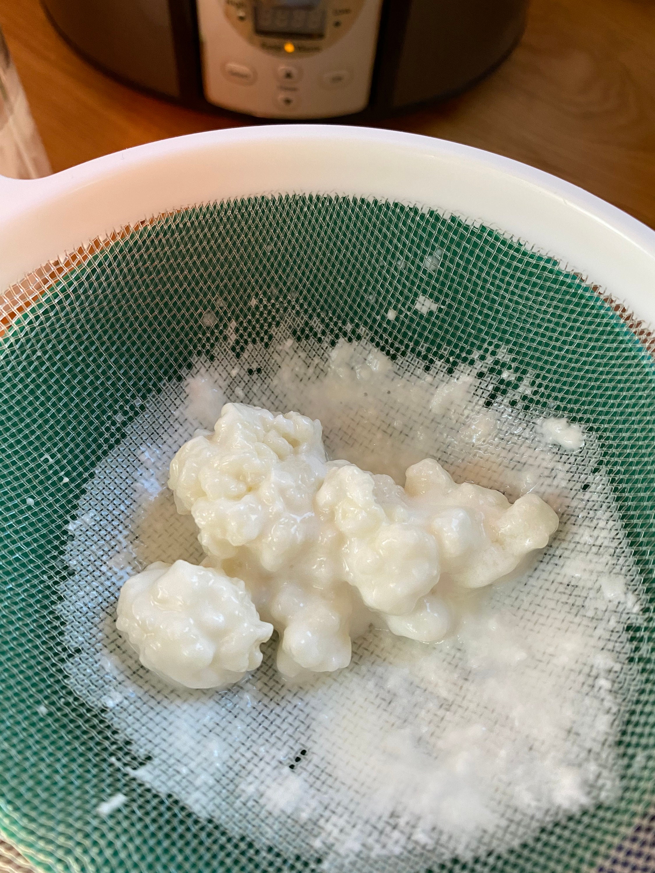 Raw goat milk kefir grains Etsy