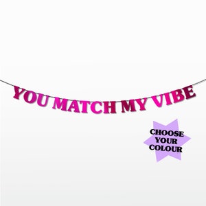 You Match my Vibe String Bunting (Choose your Colour - 11 Colour Options!) (Party Bunting, Banner)
