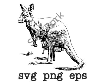 Download Baby Kangaroo Svg Etsy