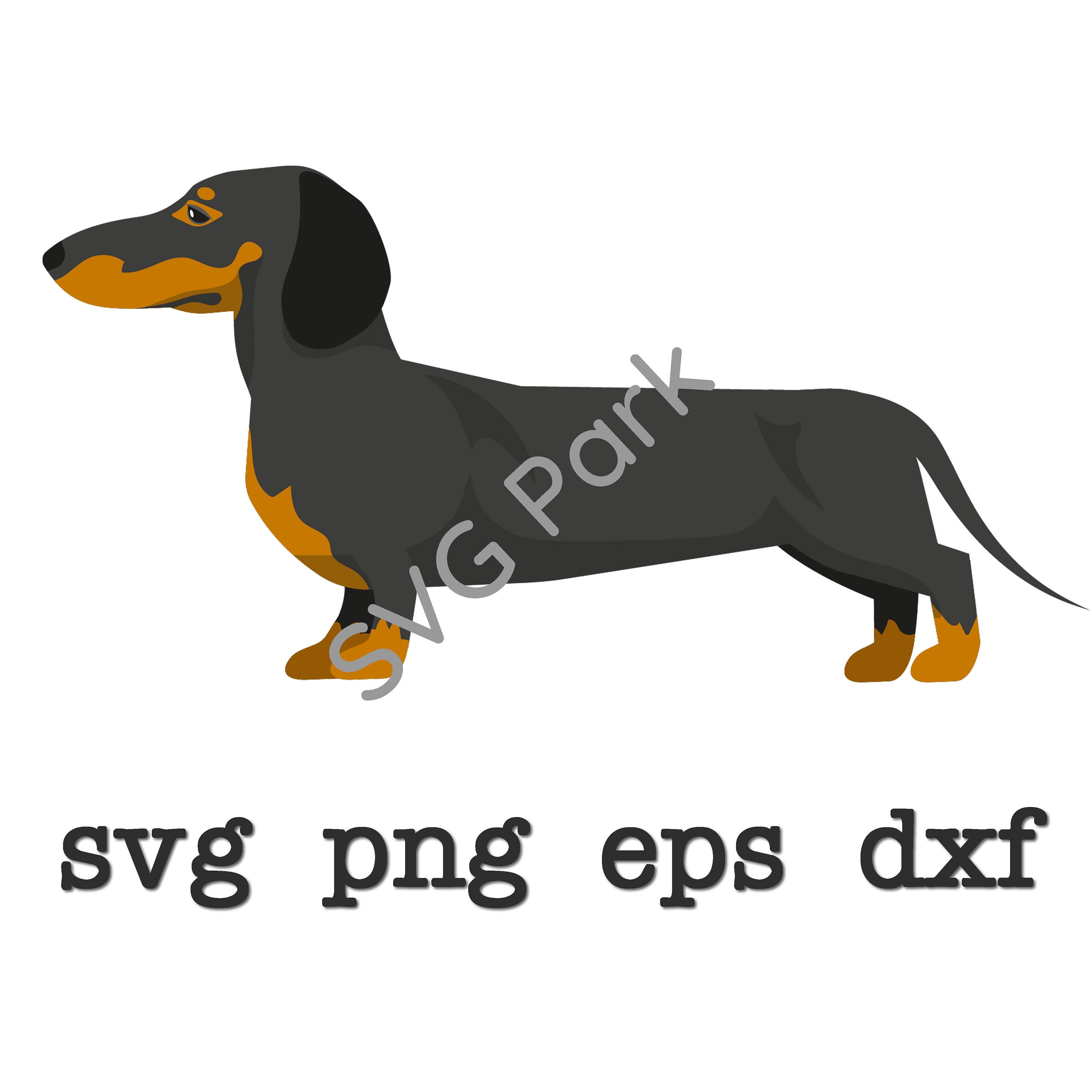 Dachshund svg png eps dxf Dog Vector Silhouette Cameo | Etsy