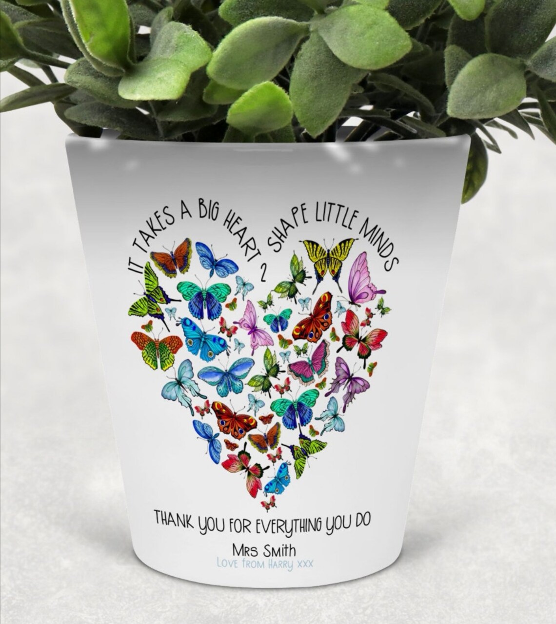 Teacher plant pot flower pot gift butterflies teacher gift Etsy