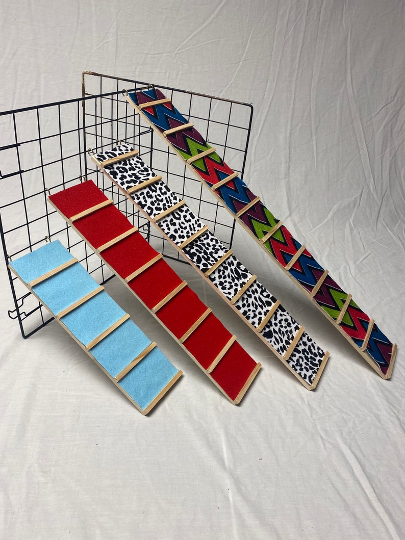 Guinea Pig Ramp Etsy