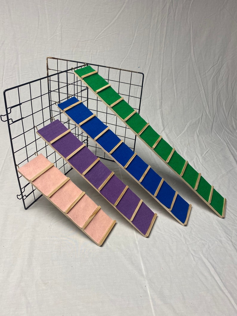 Guinea Pig Ramp Etsy