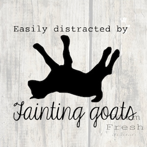 Easily distracted by fainting goats quote svg with fainting goat sihouette clipart, fainting goat instant download svg png jpg cut files,