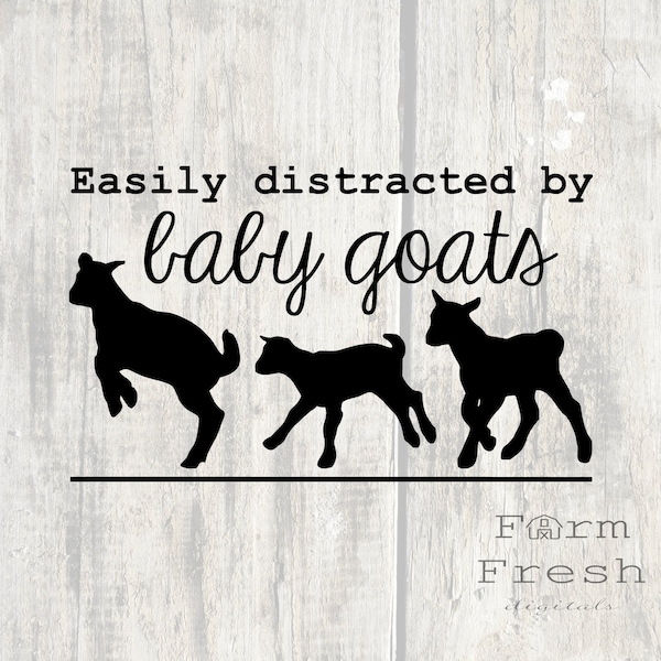 Easily distracted by baby goats svg, instant download design files SVG PNG JPG, Farm design svg, cut file for cricut maker, goat kids art
