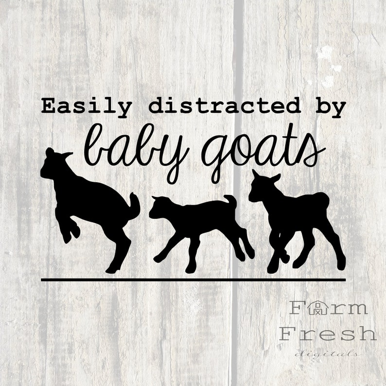 Download Easily distracted by baby goats svg instant download ...