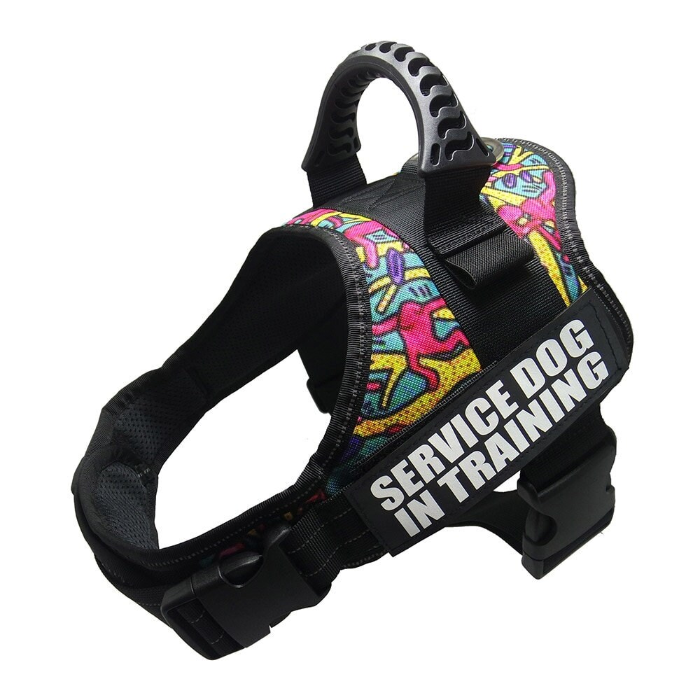 Patterned Personalized Dog Harness Comfortable Adjustable Etsy