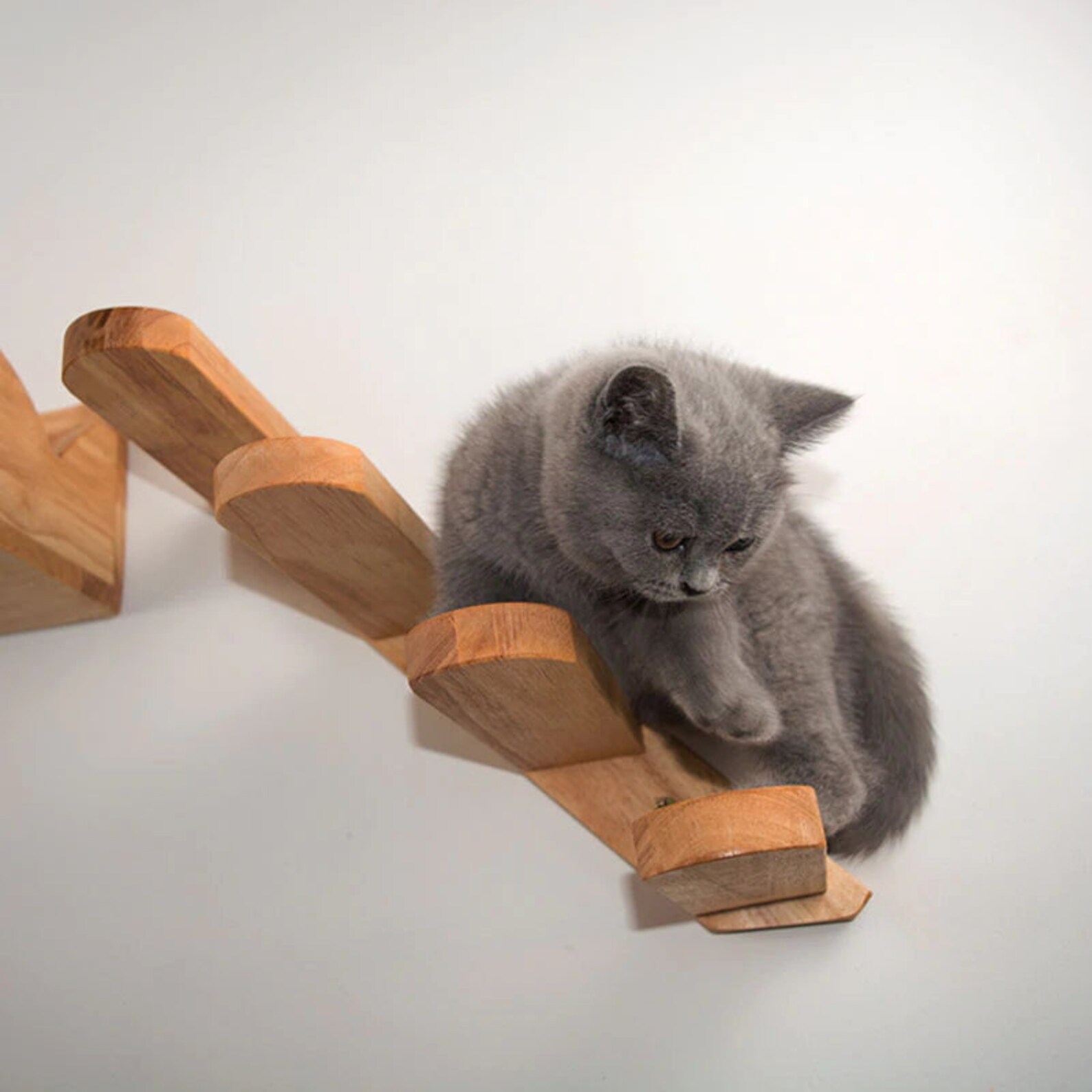 Wall Mounted Cat Climbing Stairs Wooden Wall Climbing Ladder Etsy UK