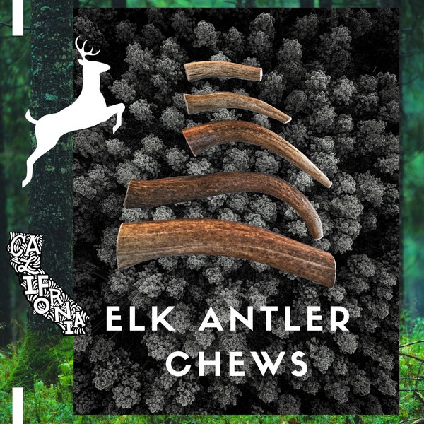 Whole elk antler chews for dogs w/ FREE shipping organic ethically sourced antler for dogs healthy dog treat chew toy antlers! MANY SIZES!