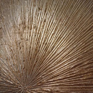 May include: A close-up of a textured, metallic gold surface with a radial pattern. The surface has a raised, brushstroke-like texture, creating a dimensional effect.