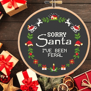 Lustiges Kreuzstichmuster Tut mir leid Santa I'm Been Feral Christmas Snarky Sarkastisch Subversiv Einfach Modern Sassy - sofort PDF Download