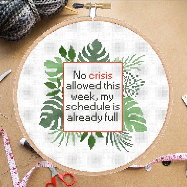 Funny coworker cross stitch pattern No crisis allowed this week Office Snarky Subversive #288# -instant pdf download