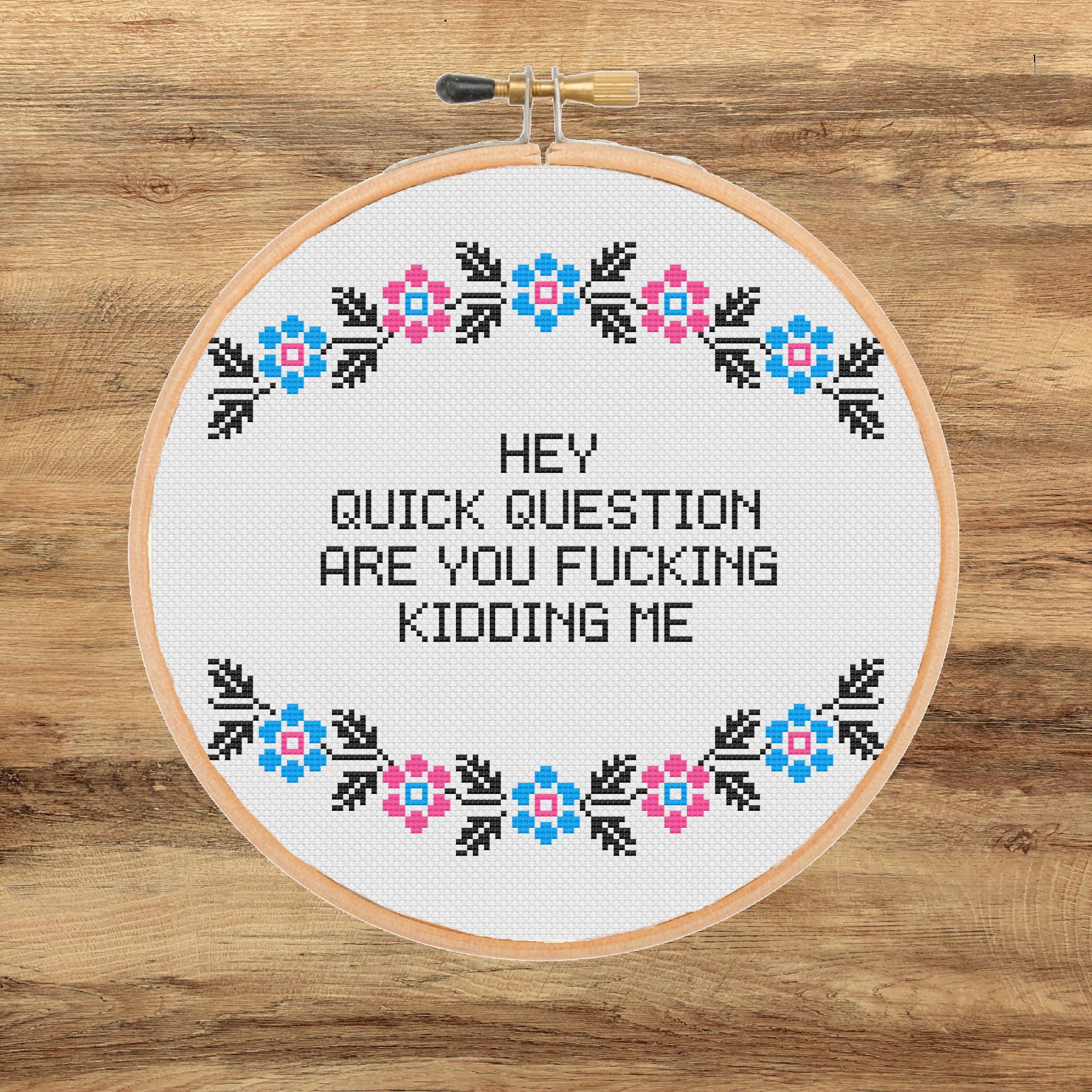 Funny Sarcastic Cross Stitch Pattern: Are You Kidding Me (PDF Download)