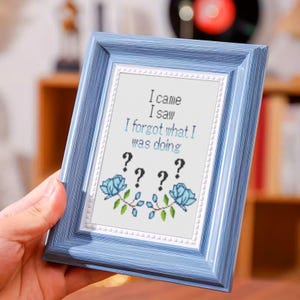 May include: A framed cross-stitch with a light blue wooden frame. The cross-stitch reads "I came I saw I forgot what I was doing" in blue and black text, with question marks and floral accents.