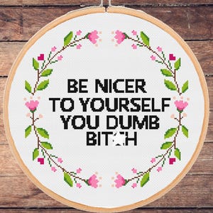 Funny Sarcastic Cross Stitch Pattern: Be Nicer To Yourself You Dumb Bitch Snarky Adult Rude Sweary Sassy (PDF Download)