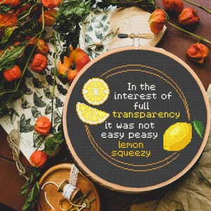May include: A cross-stitch embroidery hoop with a black background and the text "In the interest of full transparency it was not easy peasy lemon squeezy." The design includes yellow lemon slices and a whole lemon. The hoop is surrounded by dried orange berries.