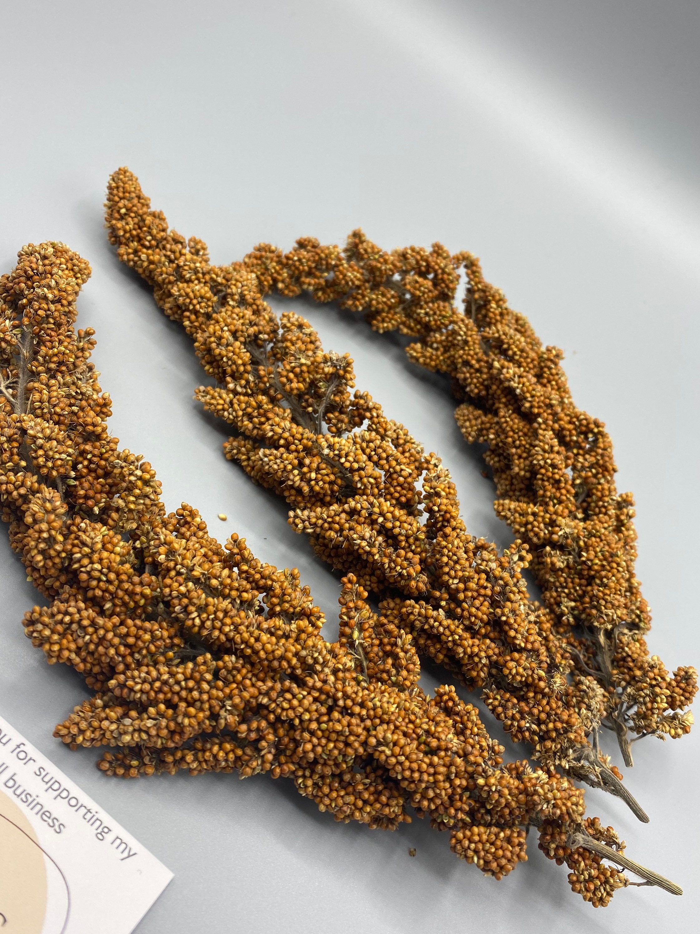 3 Red Millet Sprays Etsy UK