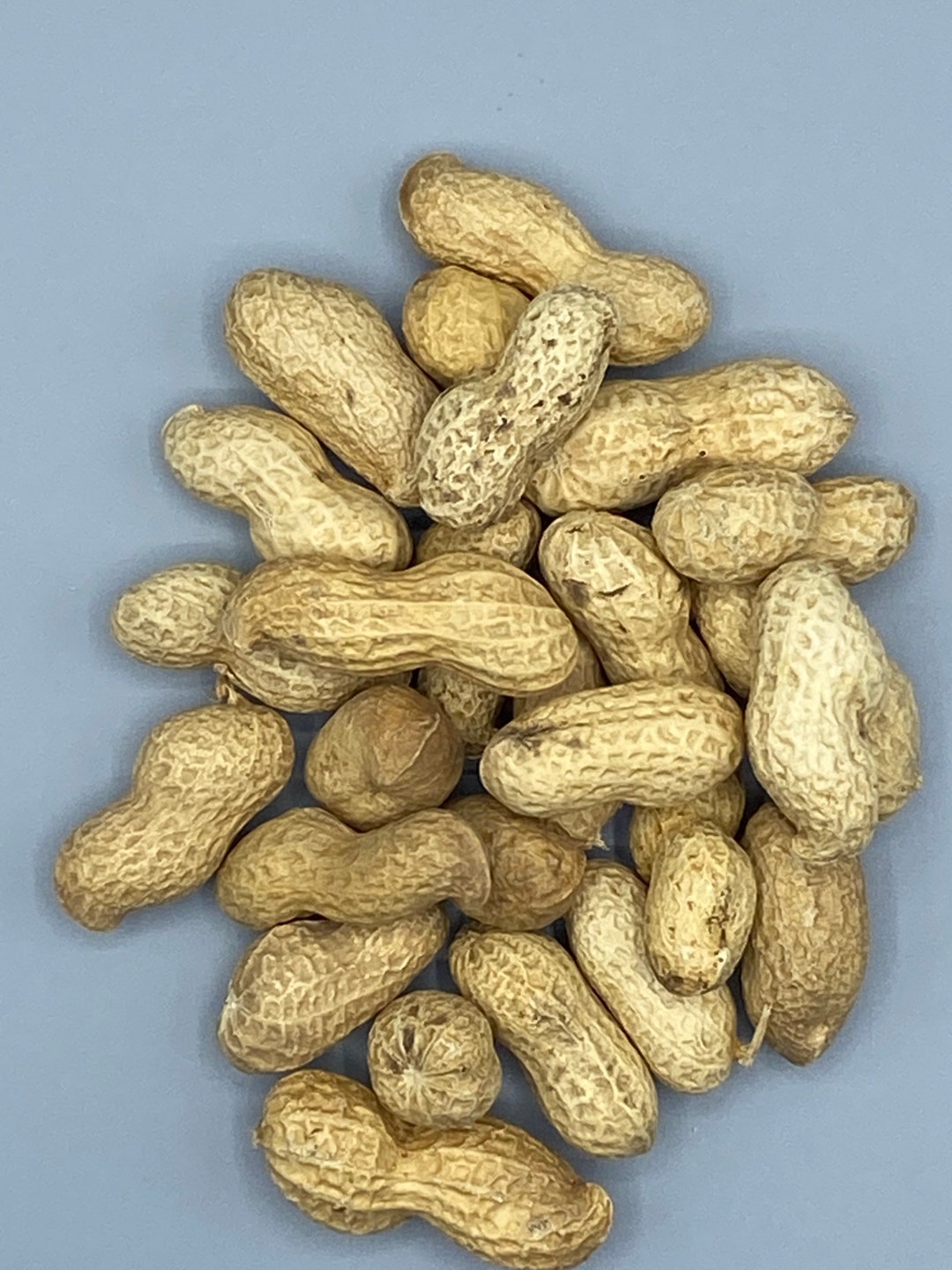 Roasted Monkey Nuts Etsy