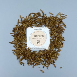 May include: A close-up of a pile of dried mealworms, a popular food source for reptiles and other pets. A white card with the text "HOPE'S HEALTHY TREATS" is in the centre of the image. The card also includes the text "Thank you for supporting my small business. Like us on Facebook or follow us on Instagram @hopeshealthytreats."