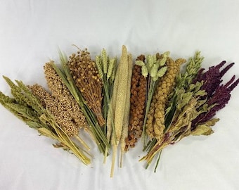 Hamster Spray Variety Box: Millet, Sorghum, Flax, Oats