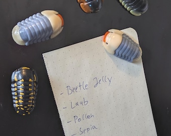 Isopod Magnet, Woodlouse Refrigerator Magnet, Rubber Ducky Panda King Gestroi Lemon Blue