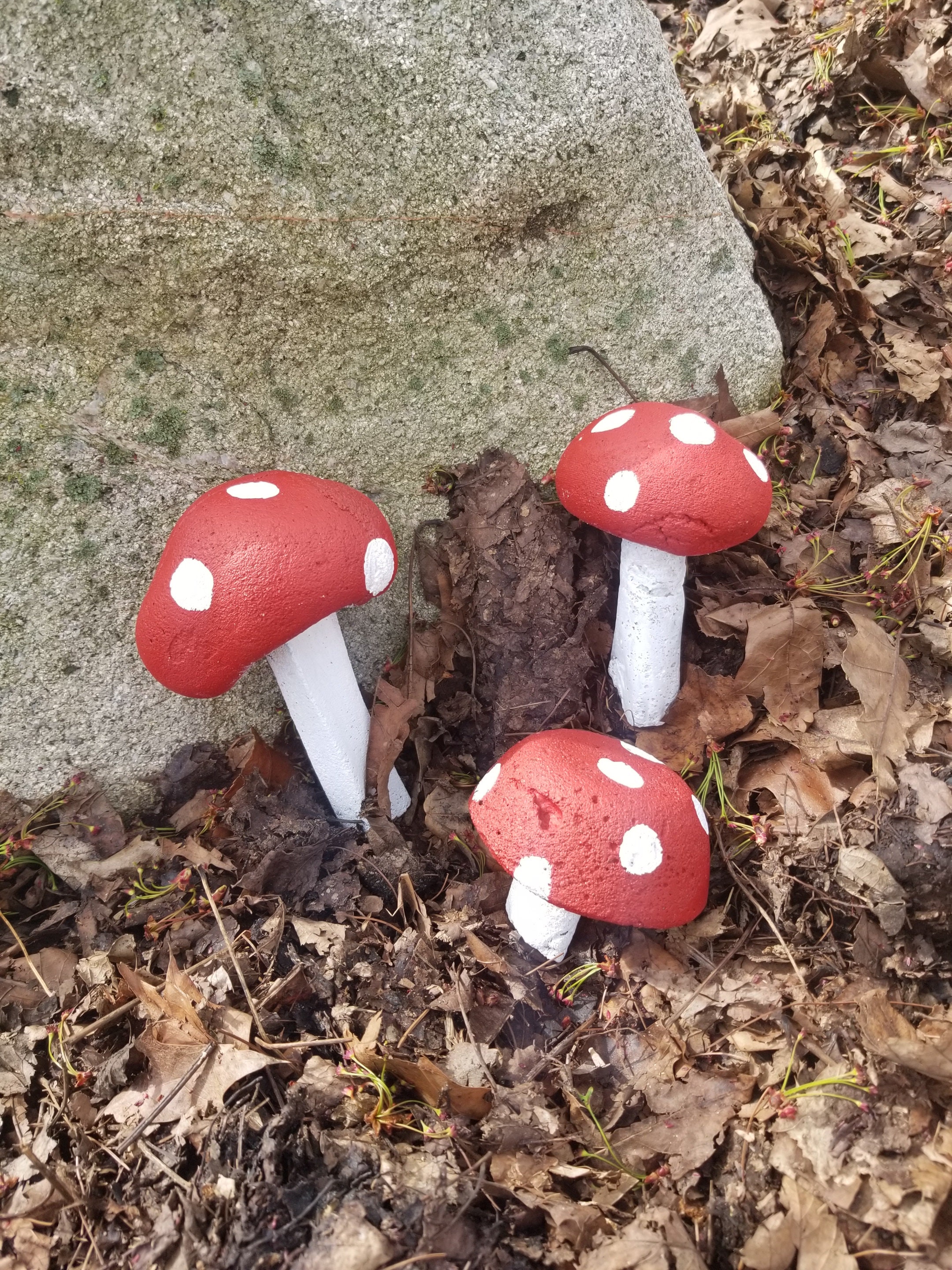 Concrete Mushrooms Mushrooms Yard Decorations Garden Etsy