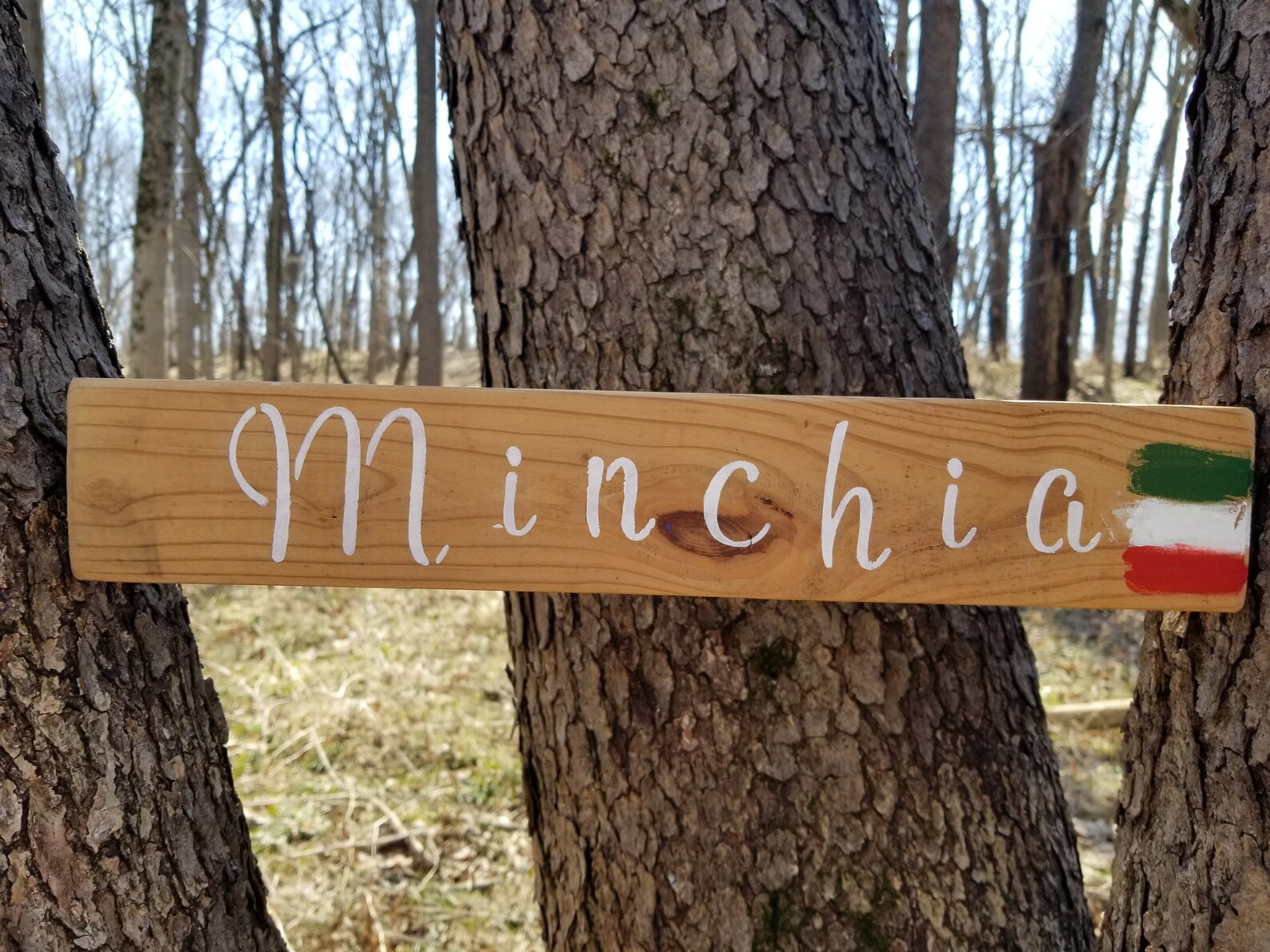 Italian Signs Handpainted Italian Signs Italy Italian Etsy