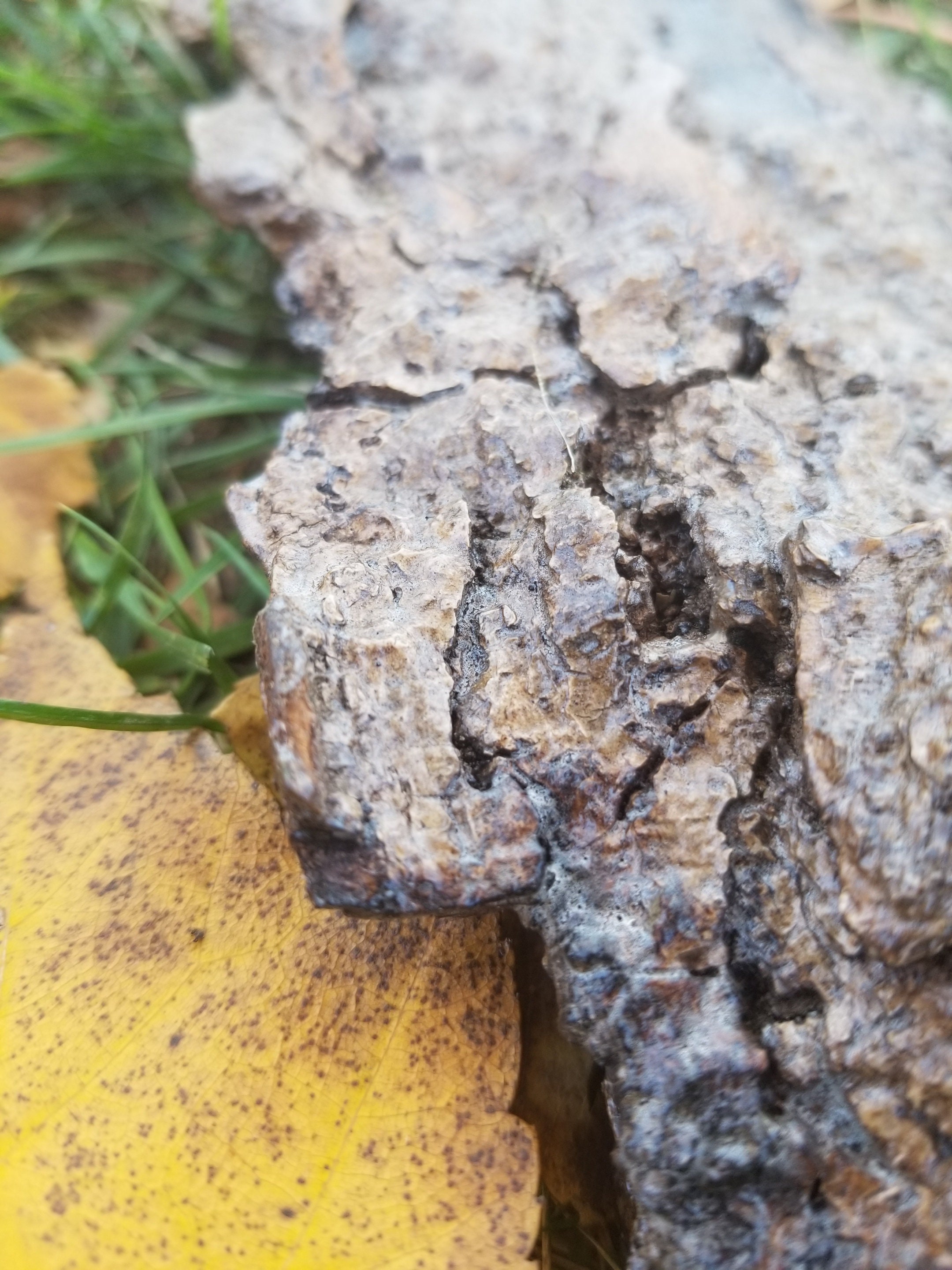 Accesorios de acento rústico decoración rústica | Etsy