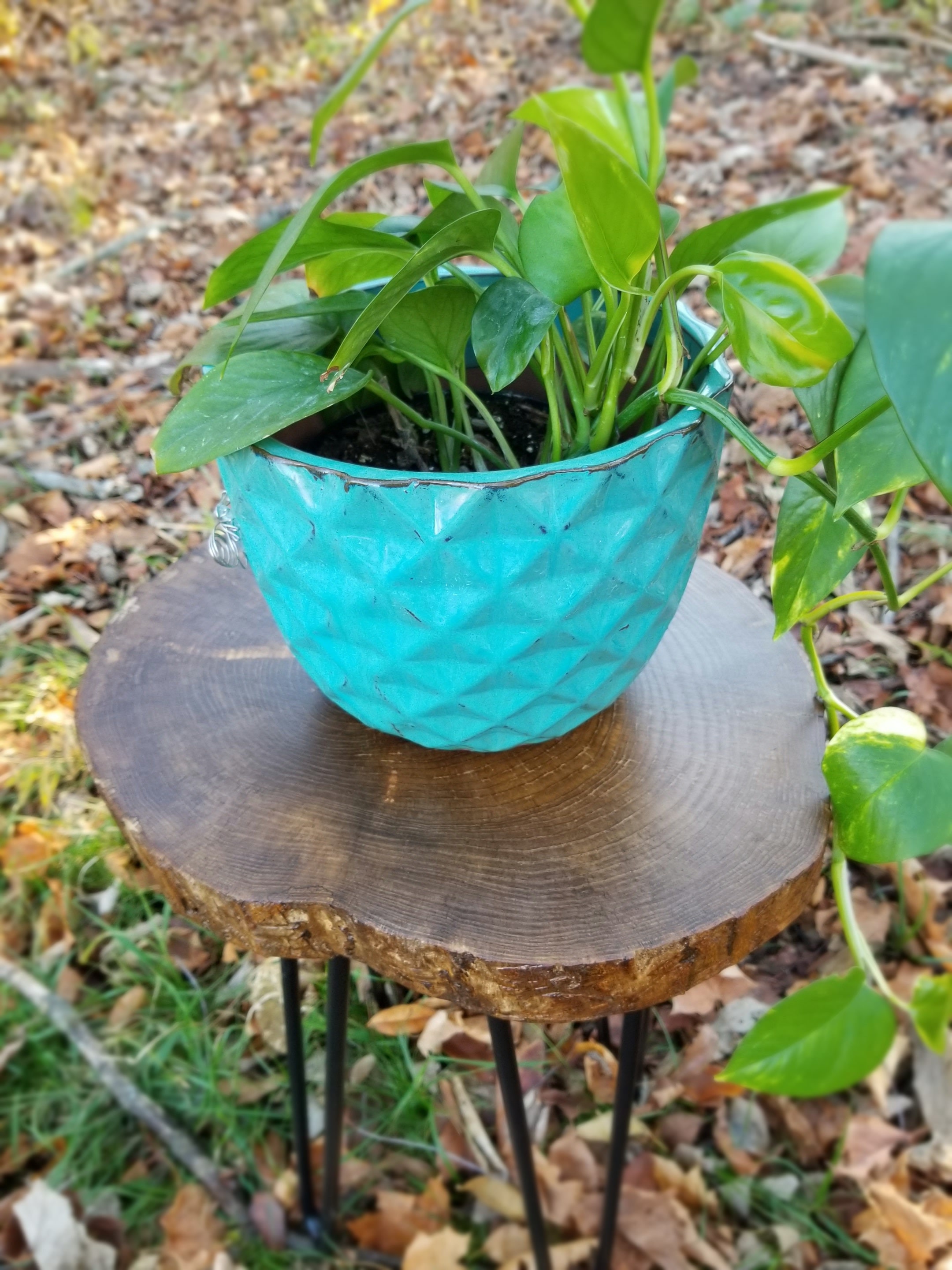 Hairpin Leg Tableliveedge Side Tableliveedge Round Etsy