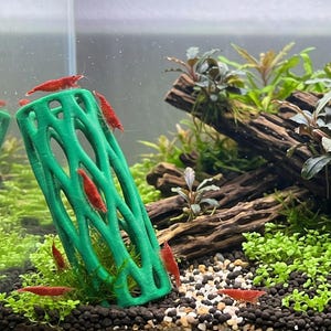 May include: A square glass aquarium filled with water, dark substrate, and light-colored gravel. Inside are several bright red shrimp, dark brown driftwood, green aquatic plants, and a tall, cylindrical, bright green 3D-printed plastic tube.