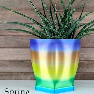 Modern Curvy Planter with Drainage | 5" Indoor Pot
