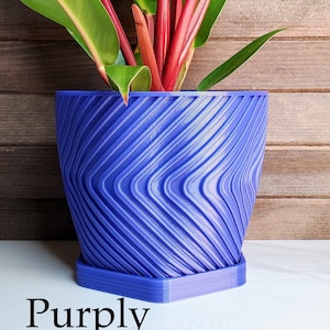 May include: A houseplant with green and red leaves in a blue, textured, geometric pot. The pot has a hexagonal base. The text "Purply" is written below the pot.