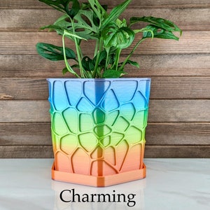 Medium Voronoi Planter with Drainage | Modern 3D printed Indoor Pot with Drip Tray
