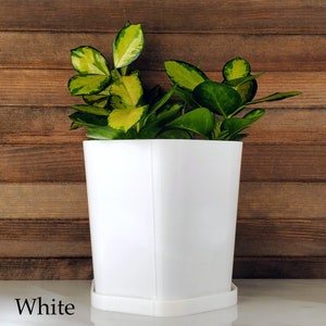 Flare Hexagon Planter with Drip Tray | 5" Pot