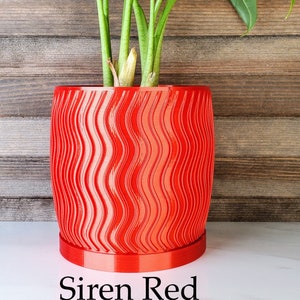 May include: A green leafy plant in a red wavy textured ceramic pot. The pot has a drainage hole and a matching red saucer. The pot is labeled "Siren Red".