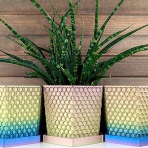 Bold Rainbow Honeycomb Hexagon Planter with Drainage | Modern 3D printed Indoor Small Pot with Drip Tray