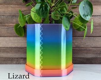 May include: A hexagonal plant pot with a rainbow ombre design. The pot has a separate saucer and is made of a smooth, glossy material. The pot is filled with a green plant with round leaves.