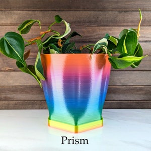 Medium 6" Wide Curvy Planter with Drainage in Multiple Colors | Modern 3D printed Indoor Pot with Saucer