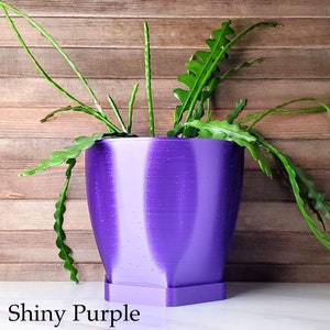 May include: A shiny purple hexagonal planter with a plant growing out of it. The planter has a textured surface and a matching saucer. The plant has long, thin green leaves.