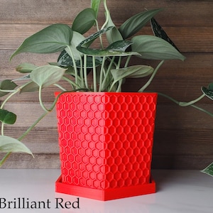 May include: A red hexagonal planter with a plant growing out of it. The planter has a honeycomb pattern and a matching saucer. The plant has green leaves with silver variegation. The text "Brilliant Red" is visible in the image.